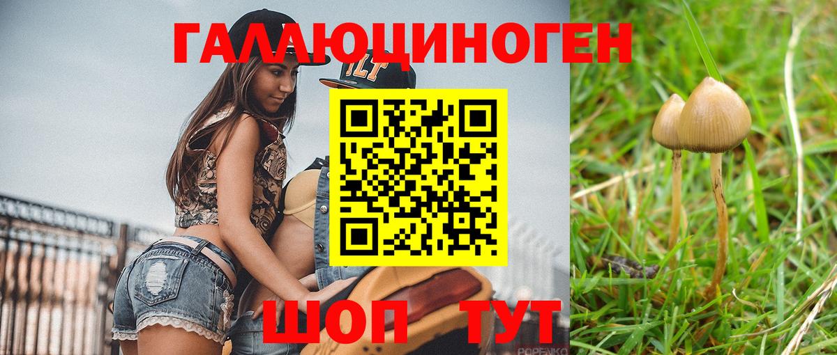 Псилоцибиновые грибы мицелий Михайловка